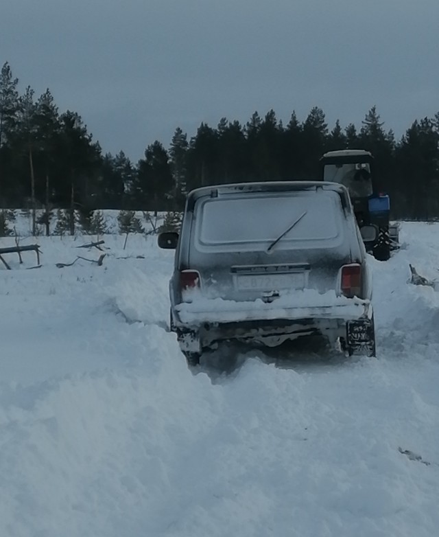 Давно вроде не было... А что у вас за окном