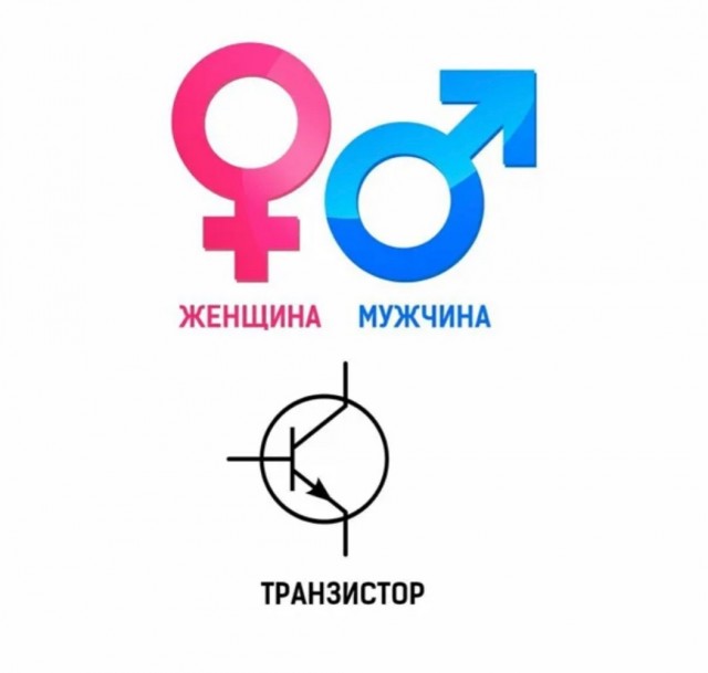 Бог создал два пола, называемых мужчинами и женщинами!