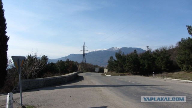 Крым в феврале или "Не стреляйте в белых лебедей!"