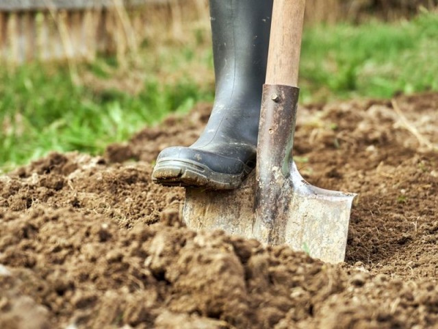 В Подмосковье знакомая предложила рабочему халтурку — надо было всего-навсего закопать труп