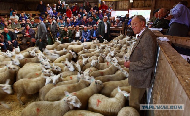 Ингушские борцы решили посидеть