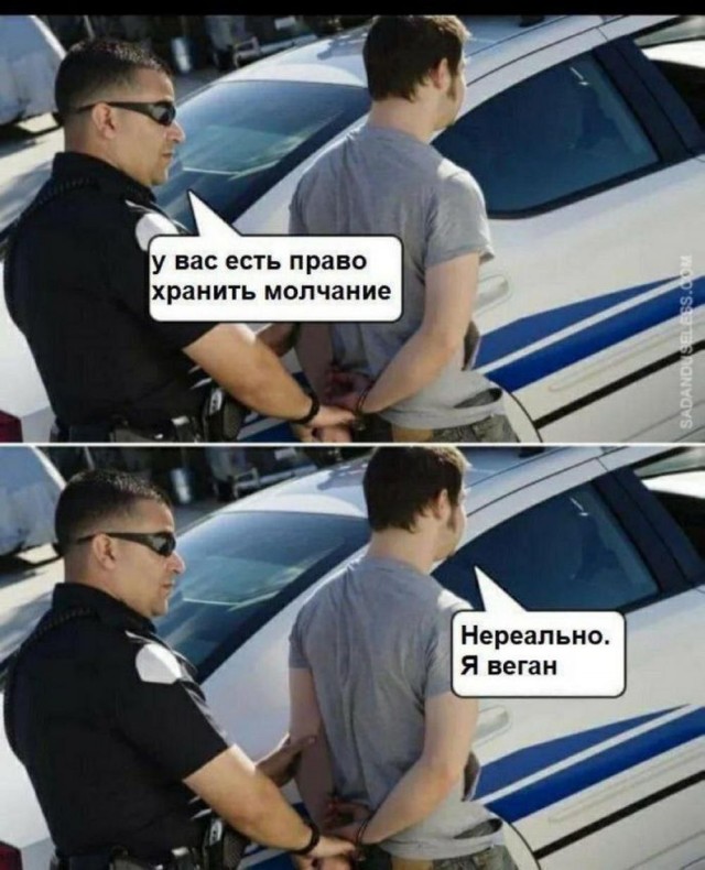 Отряд быстрого деградирования