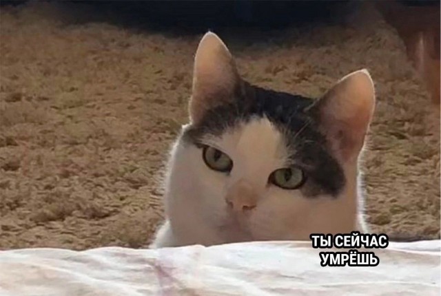 Когда достаточно одного взгляда
