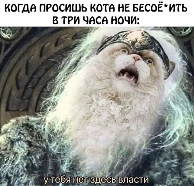 Веселые картинки к пятнице (18.10)