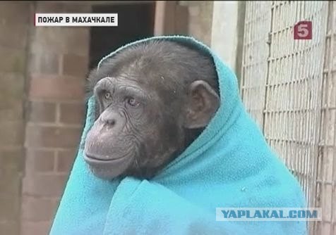 Пожар в Махачкале