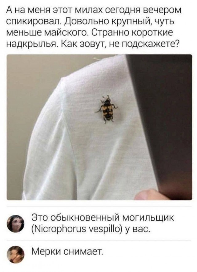 Большая подборка баянов разной степени свежести