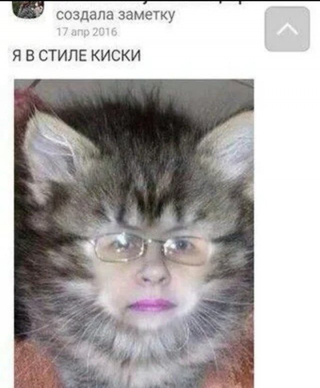 Давно не было....