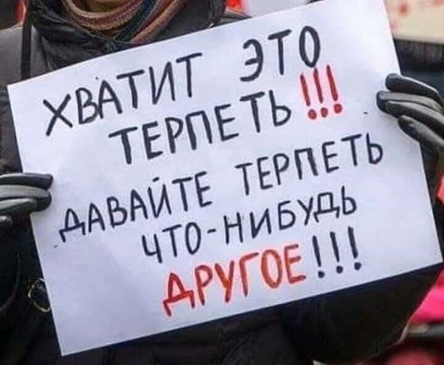 20271646.jpg