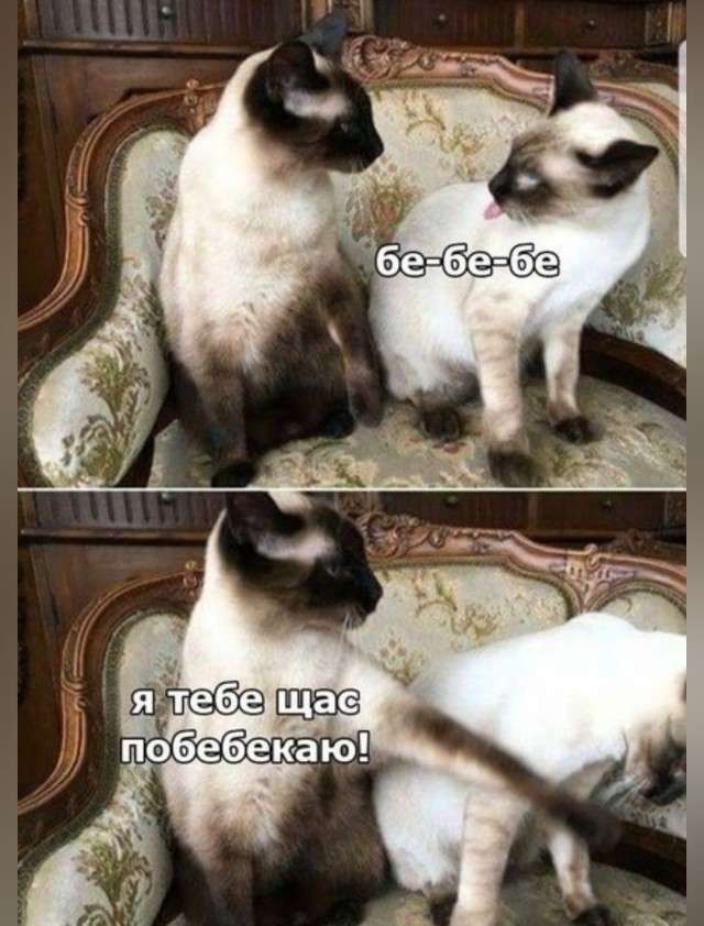 Быстрая деградация