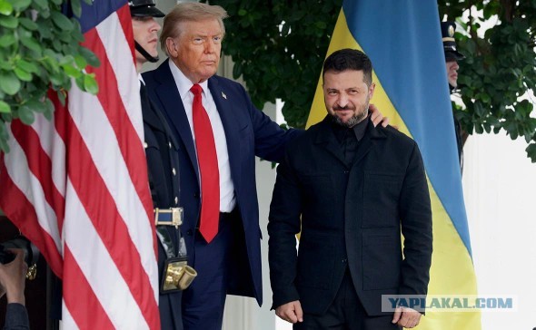 Президенты США и Украины Дональд Трамп и Владимир Зеленский, как предполагается, встретятся в пятницу в Белом доме.