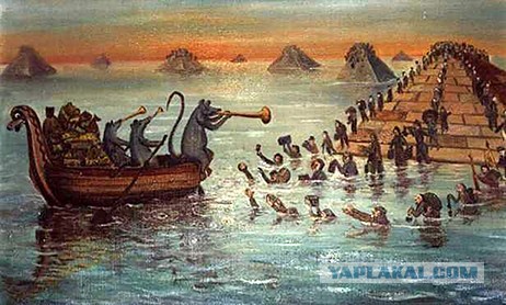 Право не видеть дальше собственного носа