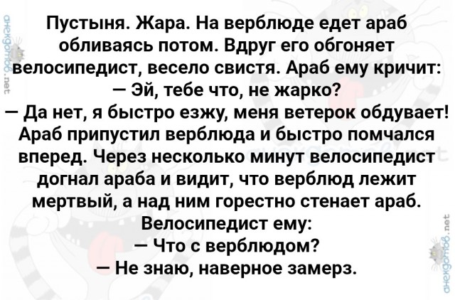 Скорость ветра заморозила верблюда в пустыне из-за высокой скорости передвижения