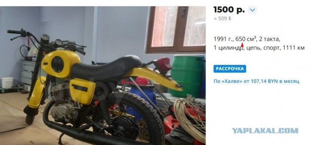 Смотрите какого красавца за 500 $ продают
