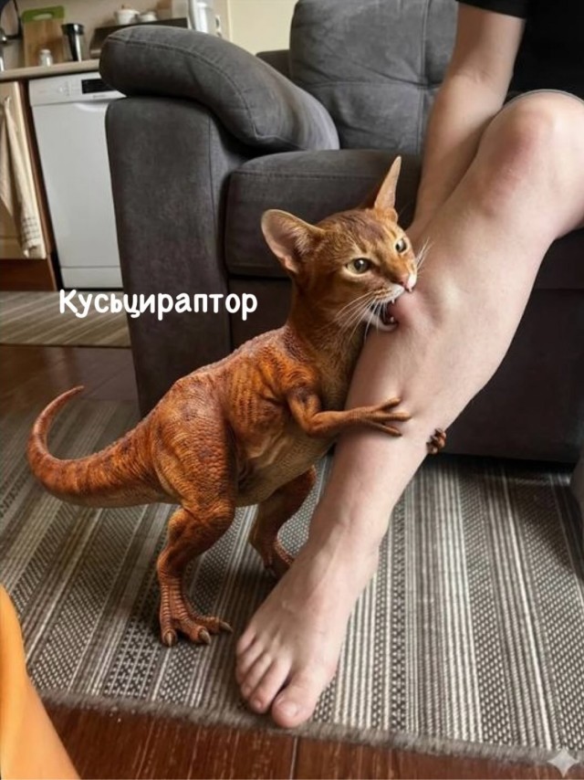 Лопоух