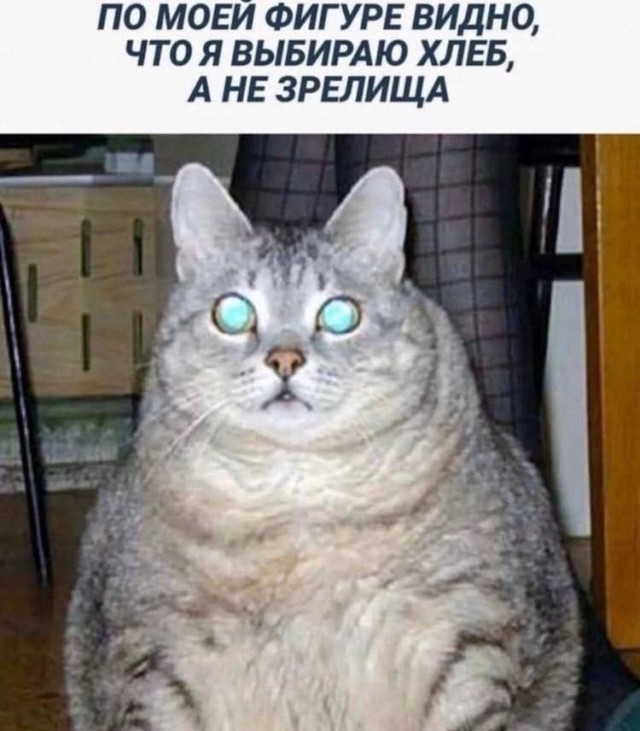 Картинки для деградации 249 (разной степени свежести)