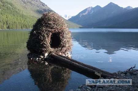 Зеленый город на Алтае (11 фото)