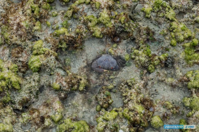 Океания: Фиджи и Тувалу