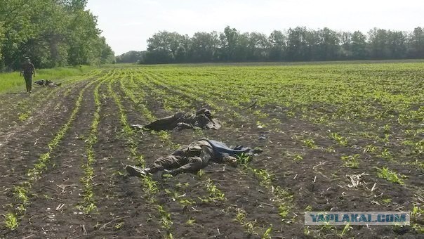 Кто уничтожает украинскую армию