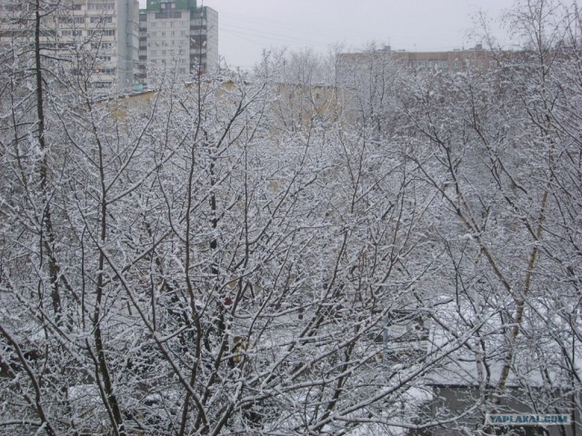 Выглядываю в окно, а там?