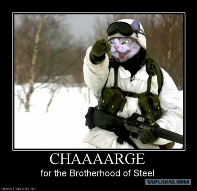 Забавные картинки из Сети