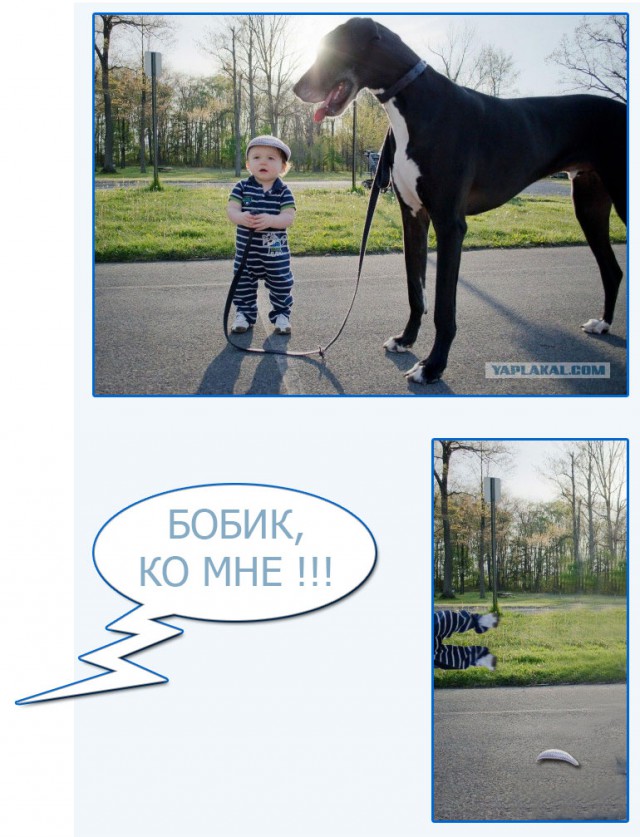 Доказательства того, что детям