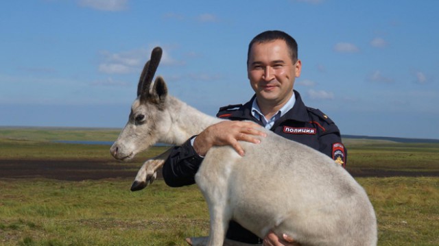 Один билет до Салехарда