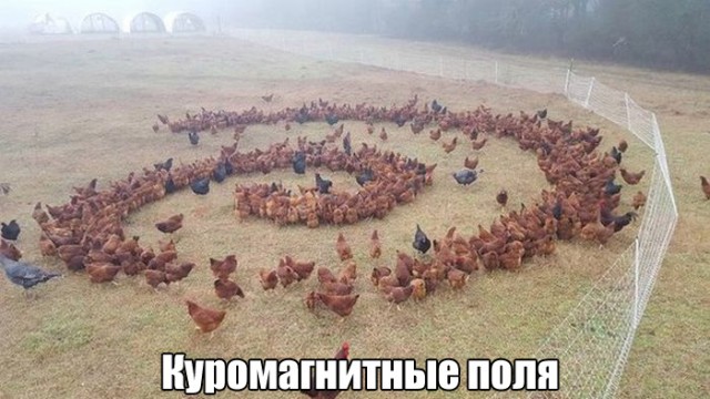 Подслушано (непридуманные истории из жизни)