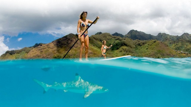 Подборка картинок