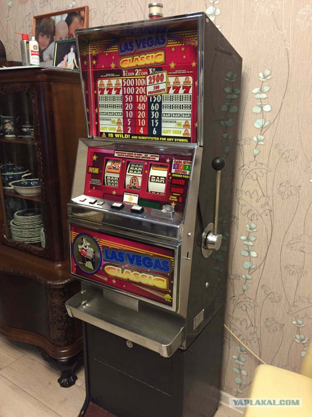 Кто из ЯПовцев выигрывал в лотерею?