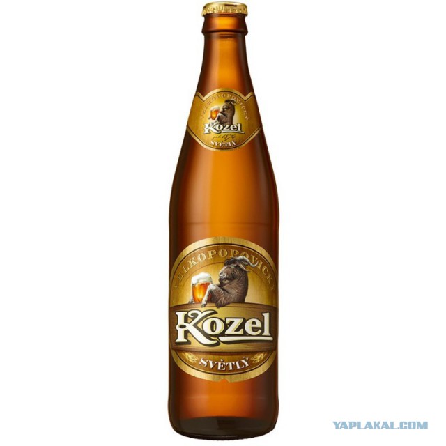 Анекдоты. Фразы.