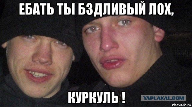 Это Быдло? Или я что то не понимаю?