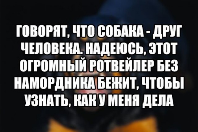 Порция пикчей из палаты №6