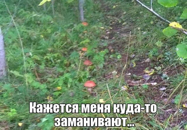 Подборка картинок из интернета на 05.07.17г.