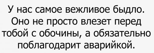Смешные комментарии из социальных сетей 18.08.2017