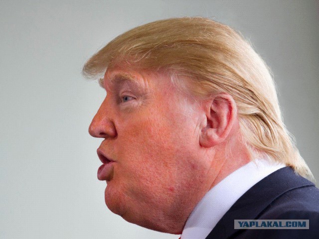 Фотожаба "Профиль Трампа"