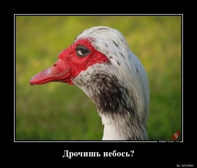 Зачем «автомату» нейтральный режим