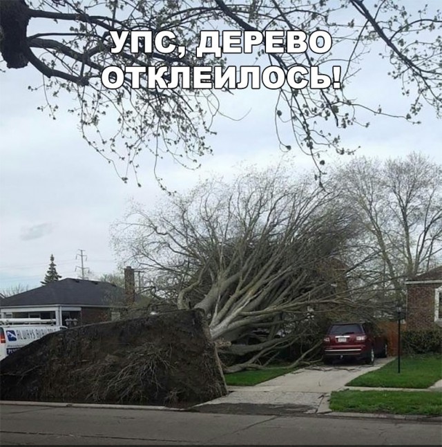 Нестандартный юмор
