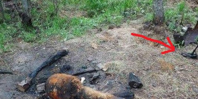 Подскажите что за штука?