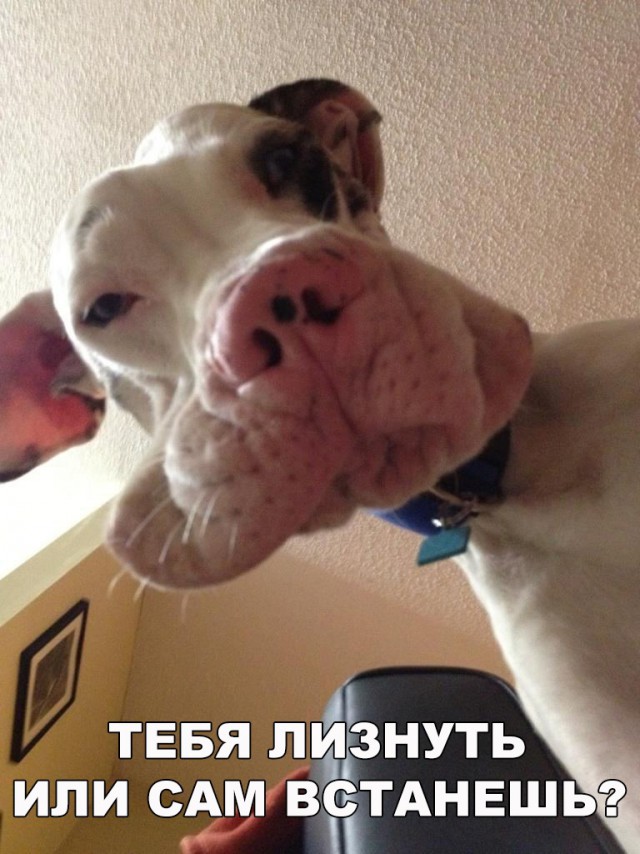 Нестандартный юмор