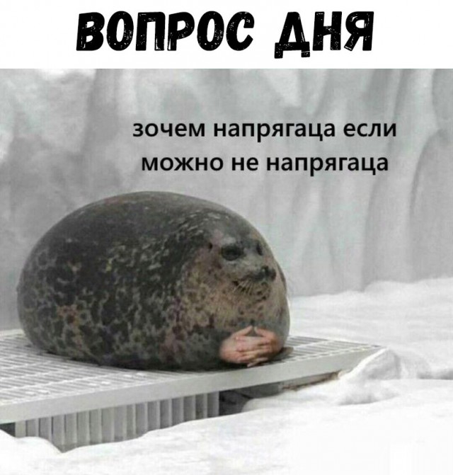 Нестандартный юмор