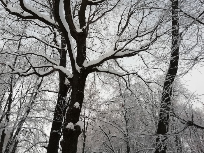 Фотографии, которые не каждый день увидишь