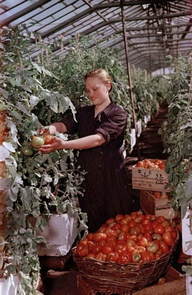 Фотографии из страны, которой уже нет