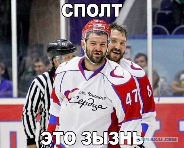 Забавные кадры, совершенно случайно сделанные в нужный момент