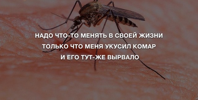 Анекдоты для позитива