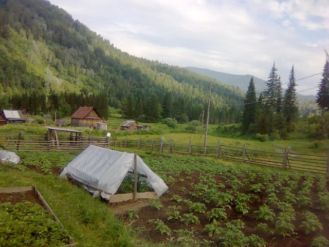 Таежные деревушки