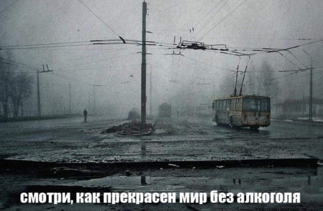 53% молодых россиян хотят уехать жить за границу