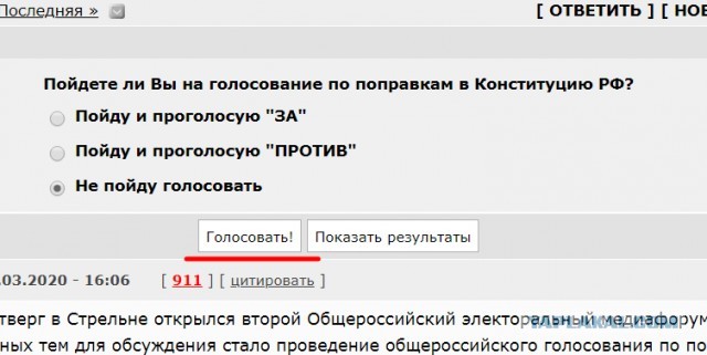 Элла Памфилова: "Голосование по каждой поправке Конституции отдельно технологически немыслимо"