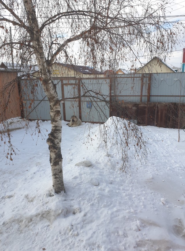 Давайте фото у кого какой вид из окна на оживленные улицы городов в настоящий момент