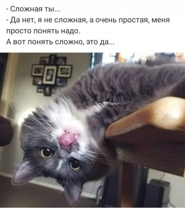 Немного картинок для настроения 18.05.20