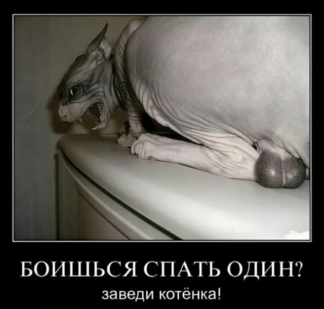 Немного картинок для настроения 113